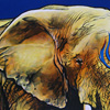 <b>Elephant sage</b><br/>Acrylique sur panneau de bois<br/>12 X 12 pouces<br/>Juillet 2011